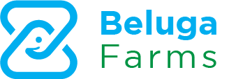 Beluga Logo